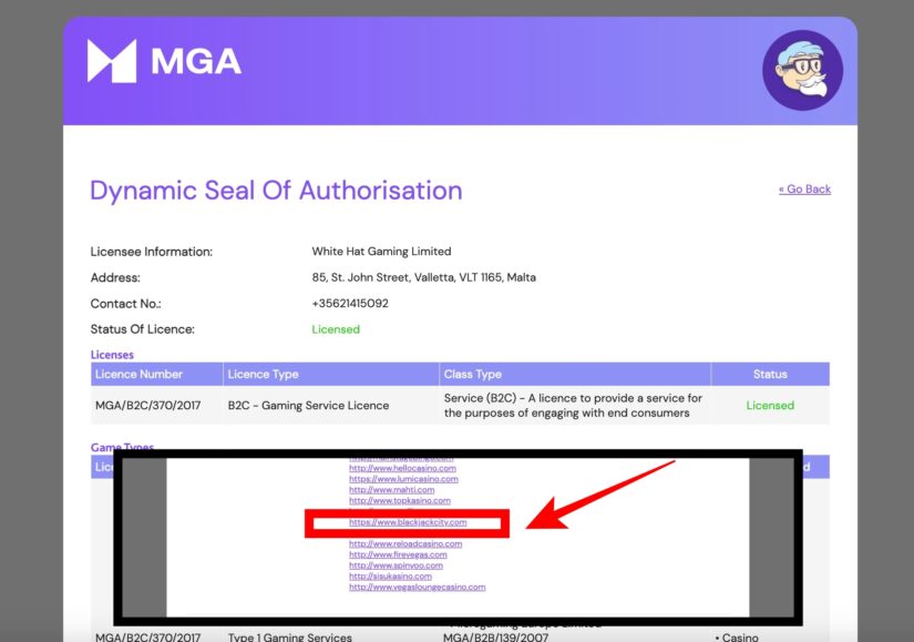 Blackjack Casino MGA lisenssi